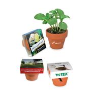 Logo Plant Pot made of Terracotta with individual cover
