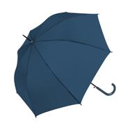 Parapluie canne 