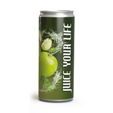 Apple Spritzer in a Can
