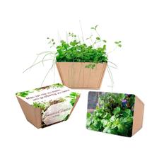 Mini Bed "Little Herb Garden"