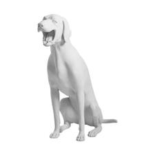Mannequin de chien "Poil court allemand"